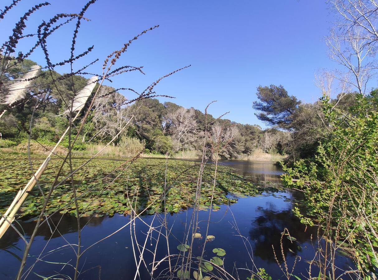 Domaine De La Coudouliere, Vue Mer, Plage, Piscine Et Parc Appartamento