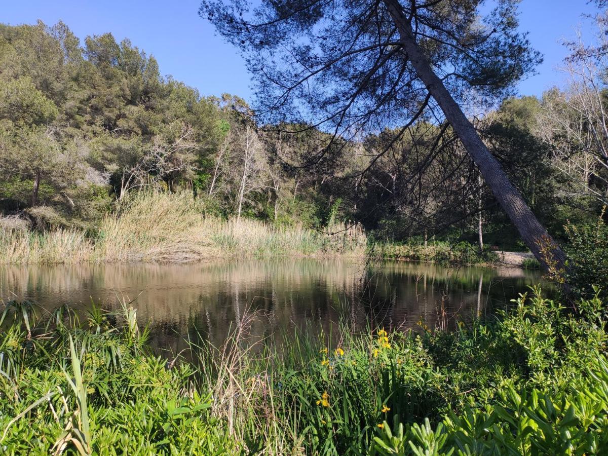 Appartamento Domaine De La Coudouliere, Vue Mer, Plage, Piscine Et Parc *